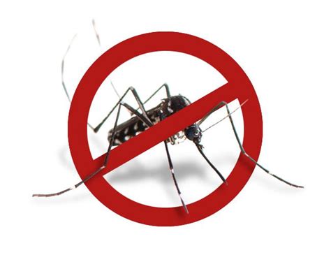 dengue fieber wie oft impfen